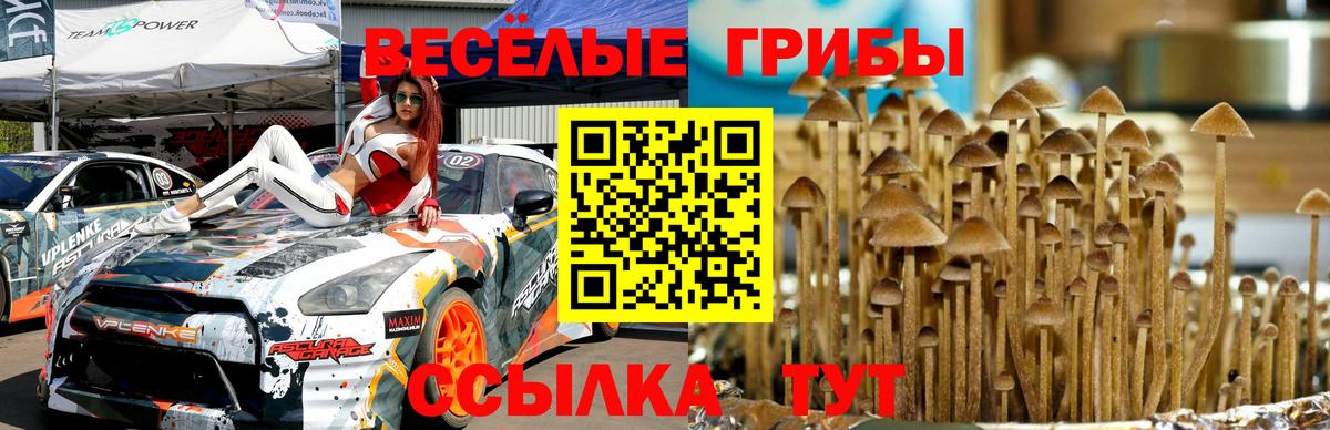 закладка  Вход с VPN  Псков  Галлюциногенные грибы мицелий 